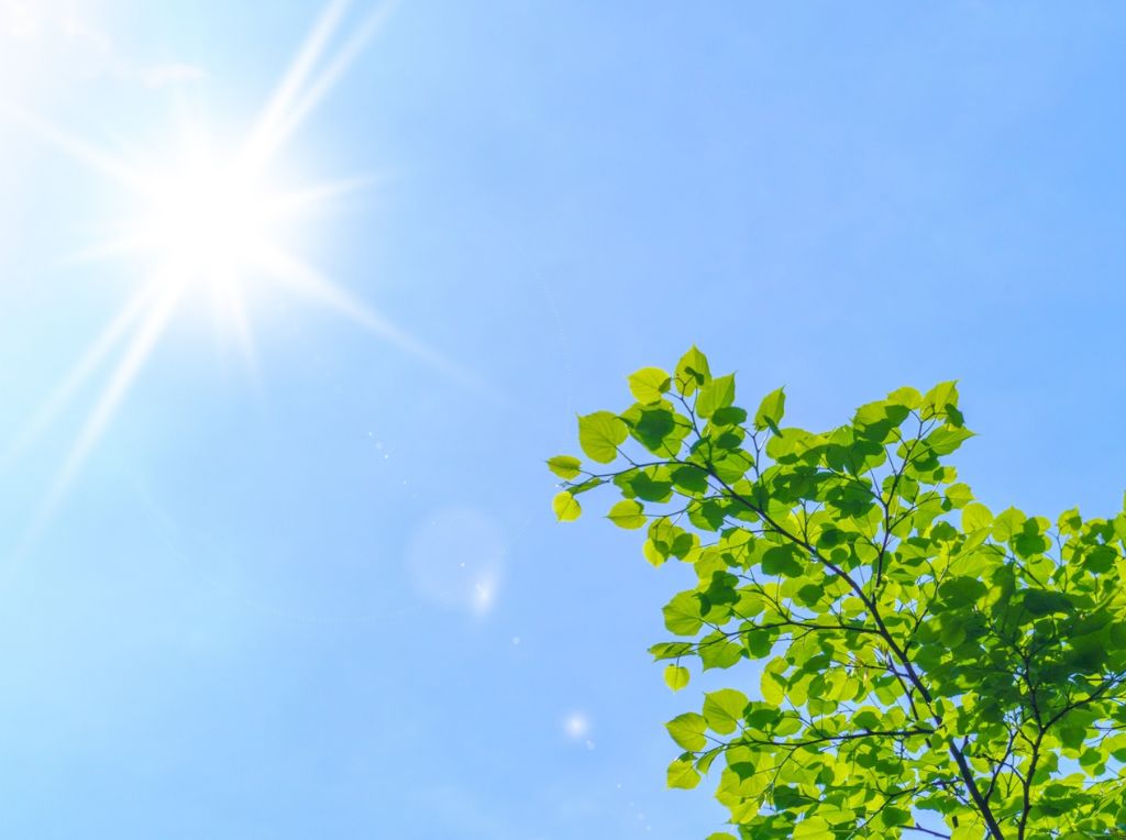 夏は、紫外線による肌へのダメージが増加しやすい季節