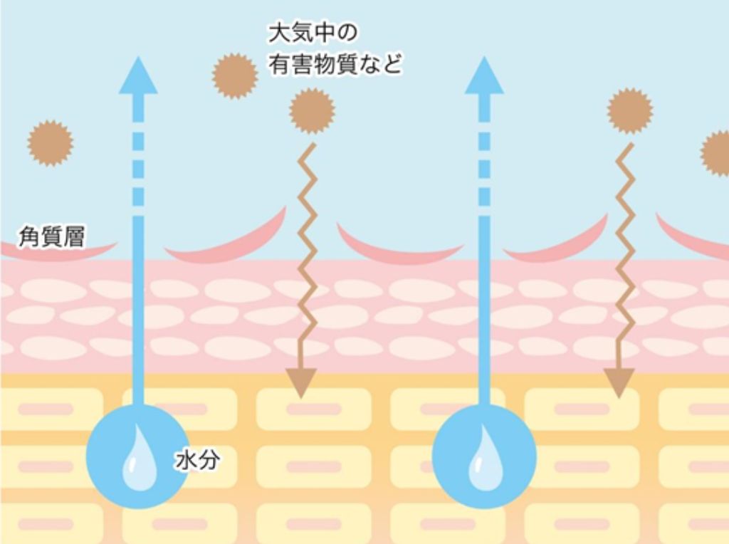肌が乾燥した状態
